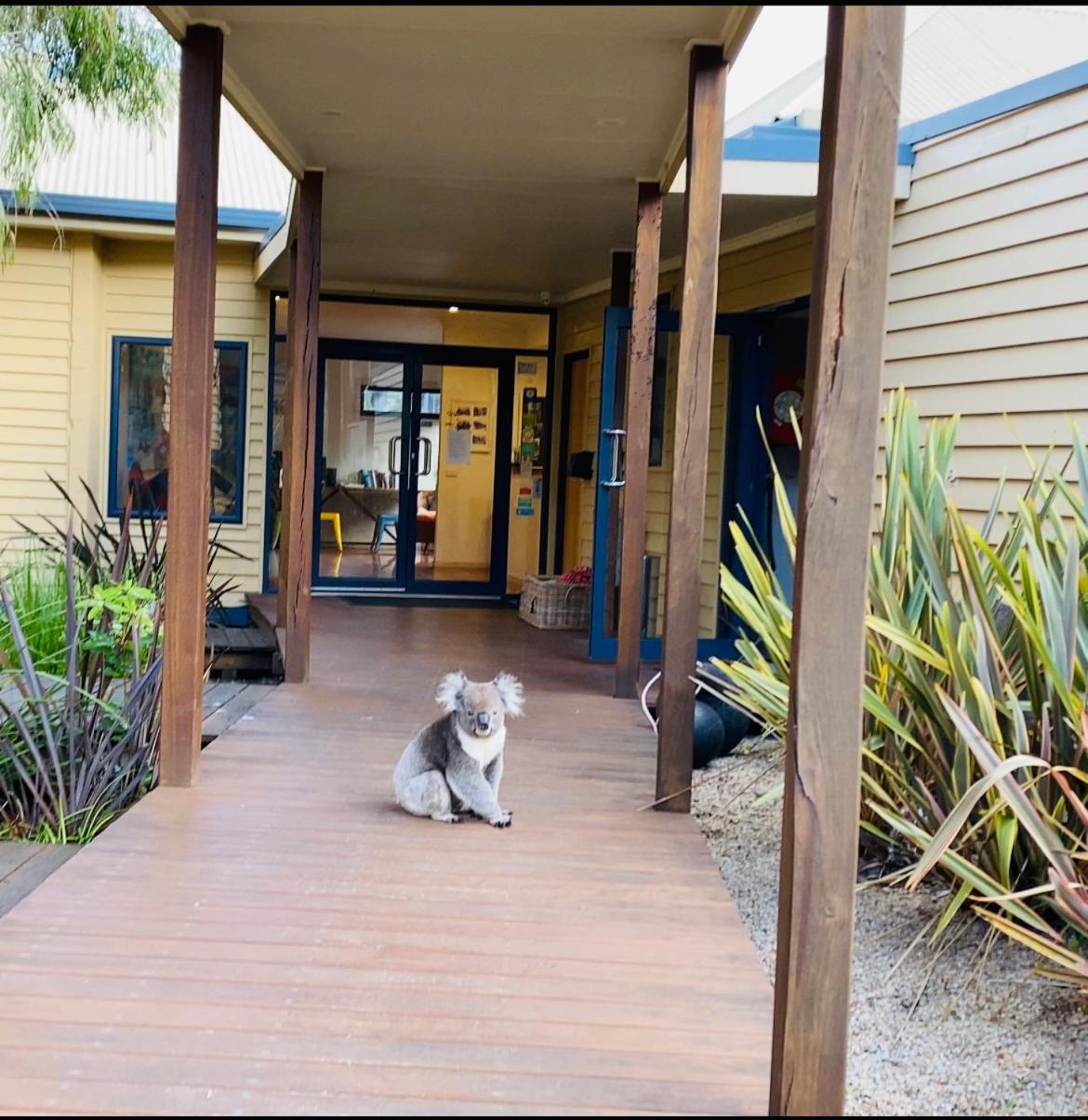 Sandpiper Motel Apollo Bay Exterior foto